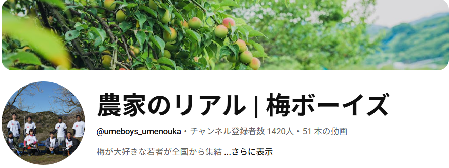 うめひかり